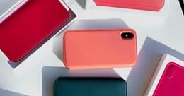 Was für Hüllen gibt es für das Galaxy S21?