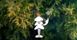 Zero Waste Weihnachten : 4 nachhaltige Geschenkideen