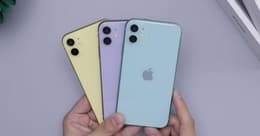 iPhone 11 Farben: Welche ist die Richtige für dich?