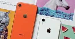 iPhone XR Farben: Welche gibt es?