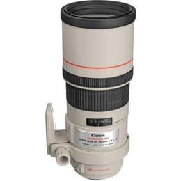 Objektiv EF 300mm f/4