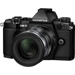 Hybrid Olympus E-M5 MARK II + Objektiv 12-50 mm + FL-LM3