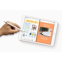 iPad 10.2 (2019) - WLAN + LTE