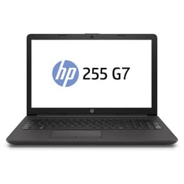 HP 255 G7 15" Ryzen 3 2.6 GHz - SSD 256 GB - 8GB QWERTY - Spanisch