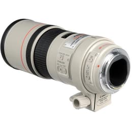 Objektiv EF 300mm f/4