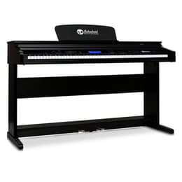 Schubert PN2-Subi88P2-S Musikinstrumente