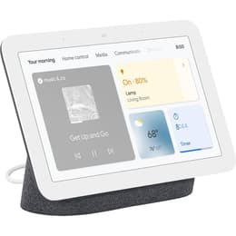 Lautsprecher Google Nest Hub 2 - Grau