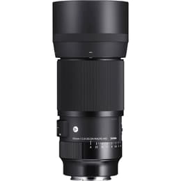Sigma Objektiv Sony E 105mm f/2,8