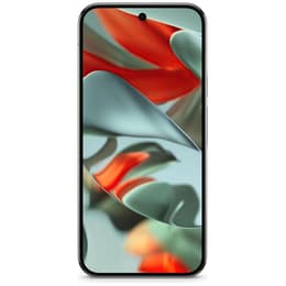 Google Pixel 9 Pro 1000GB - Grau - Ohne Vertrag