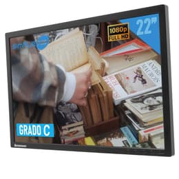 Bildschirm 22" LCD Lenovo T2254pC