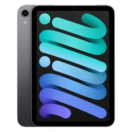 iPad mini (2021) - WLAN + 5G