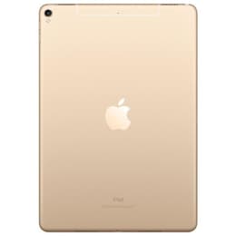 iPad Pro 10.5 (2017) - WLAN + LTE