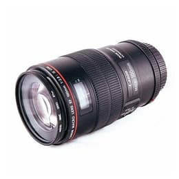 Canon Objektiv EF 100 mm f/2.8L Macro IS USM Canon EF 100mm f/2.8
