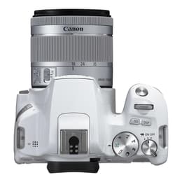 Kameras Canon EOS 250D