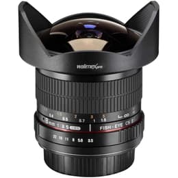 Walimex Pro Objektiv Canon 8mm/ 3.5 Fish-Eye Lens 8mm f/3.5