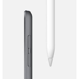 iPad mini (2019) - WLAN