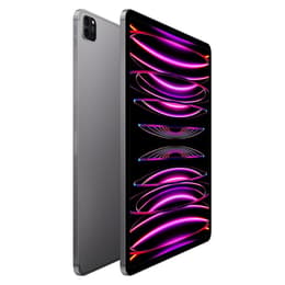 iPad Pro 12.9" (2022) 6. Generation 512 GB - WLAN - Space Grau