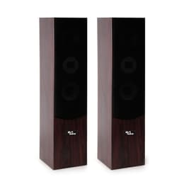 Evidence Acoustics EA700-WAL PA-Lautsprecher