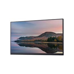 Bildschirm 24" LED FHD Dell P2422HWOS