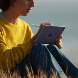 iPad mini (2021) 6. Generation 64 GB - WLAN + 5G - Rosa