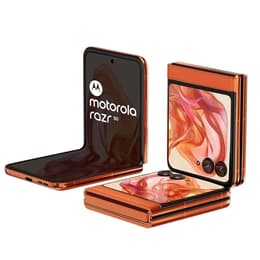 Motorola Razr 50 256GB - Orange - Ohne Vertrag