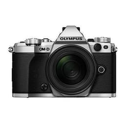 Olympus OM-D E-M5 + Blitzkamera