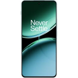OnePlus Nord 4 256GB - Grün - Ohne Vertrag