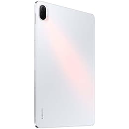 Xiaomi Pad 5 (2021) - WLAN