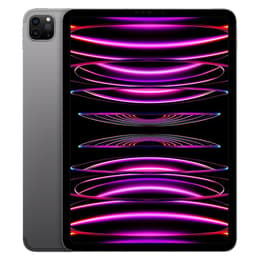 iPad Pro 11 (2022) 4. Generation 1000 Go - WLAN + 5G - Space Grau