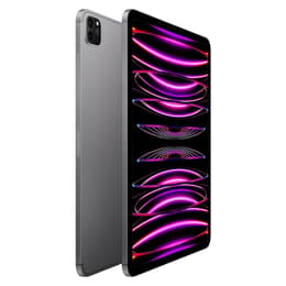 iPad Pro 11" (2022) 4. Generation 1000 GB - WLAN + 5G - Space Grau