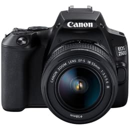 Canon EOS 250D - Schwarz + Canon EF-S 18-55mm f/3.5-5.6 III