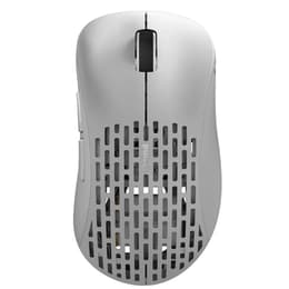 Pulsar Xlite V2 Medium (size 2) Maus Wireless