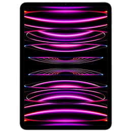 iPad Pro 12.9" (2022) 6. Generation 512 GB - WLAN + 5G - Space Grau