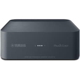 Yamaha MusicCast WXAD-10 Zubehör