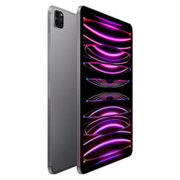 iPad Pro 11 (2022) 4. Generation 128 GB - WLAN + 5G - Space Grau