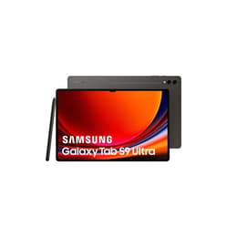 Galaxy Tab S9 Ultra 256GB - Grau - WLAN