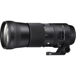 Sigma Objektiv 150-600 mm f/5-6.3 150-600mm f/5-6.3