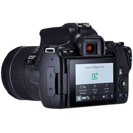 Reflex - Canon EOS 250D Schwarz Objektiv Canon EF-S 18-55mm f/4-5.6 IS STM
