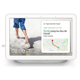 Google Nest Hub Galet Verbundenes Objekt