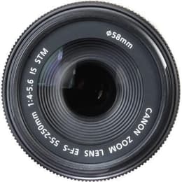 Canon Objektiv EF 55-250mm f/4,5-5,6
