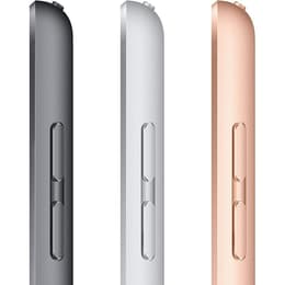 iPad 10.2 (2020) 8. Generation 32 GB - WLAN - Space Grau