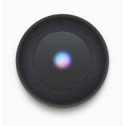 Lautsprecher Bluetooth HomePod - Space Grau