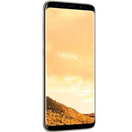 Galaxy S8 64GB - Gold - Ohne Vertrag