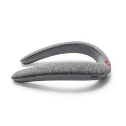 Lautsprecher Bluetooth Jbl Soundgear BTA - Grau