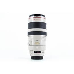 Canon Objektiv 100-400mm f/4.5-5.6 L IS USM EF 100-400mm f/4.5-5.6