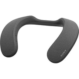 Lautsprecher Bluetooth Sony SRS-NS7 - Grau