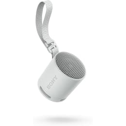 Lautsprecher Bluetooth Sony SRS-XB100 - Grau