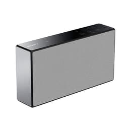 Lautsprecher Bluetooth Sony SRSX5W - Schwarz/Grau