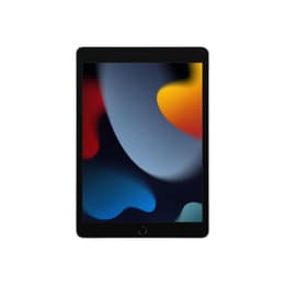 iPad 10.2 (2021) 9. Generation 256 GB - WLAN + LTE - Silber