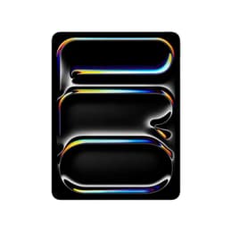 iPad Pro 13" (2025) 8. Generation 256 GB - WLAN - Space Schwarz